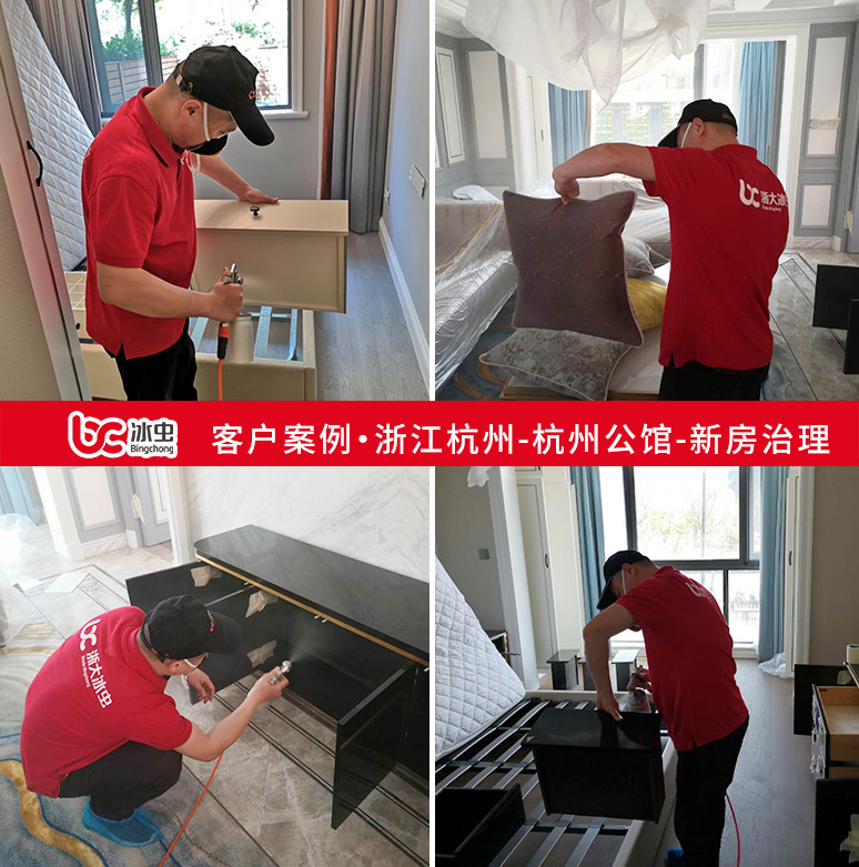 冰虫除甲醛案例-杭州公馆